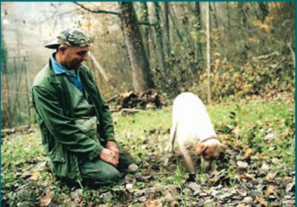 Affittacamere Profumi... Vinchio Esterno foto